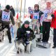 В Красноярске прошли гонки на собачьих упряжках