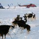 Виктор Симонов подготовит собак для путешествия в Гренландию
