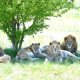 ТОП-3 — самые крутые зоопарки Крыма